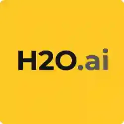 H2O AI